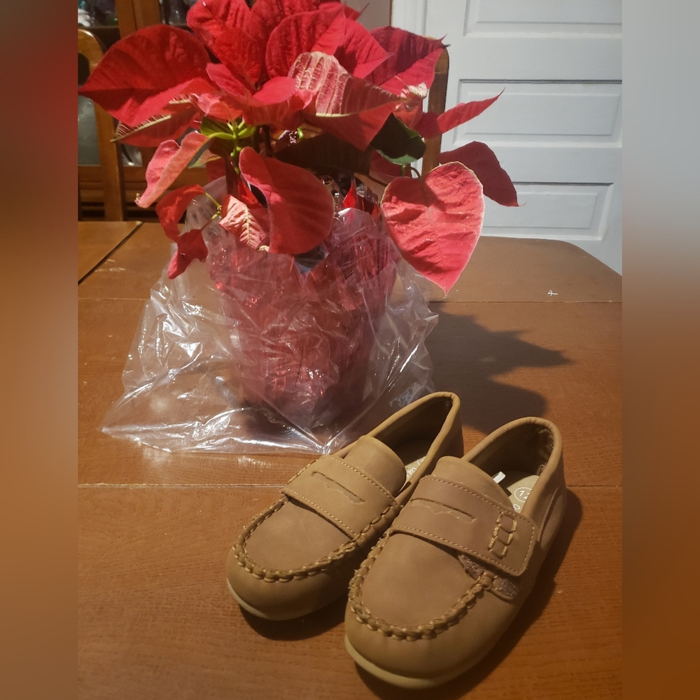 Boys brown loafers
